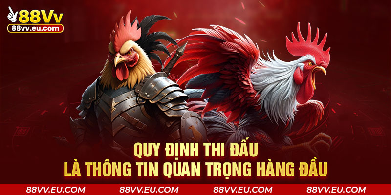 Quy định thi đấu là thông tin quan trọng hàng đầu